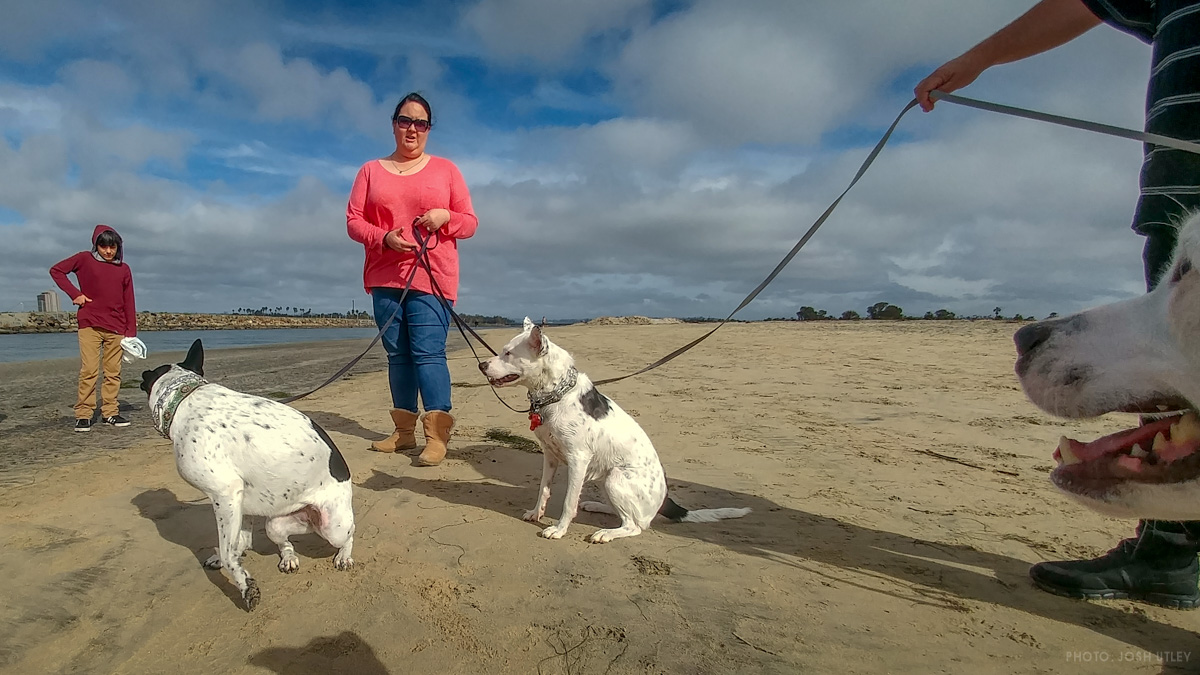 Doppelganger at Dog Beach