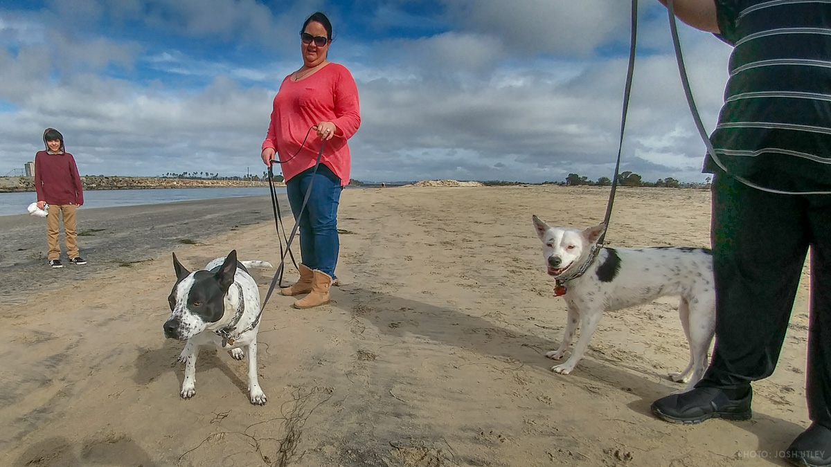 Doppelganger at Dog Beach