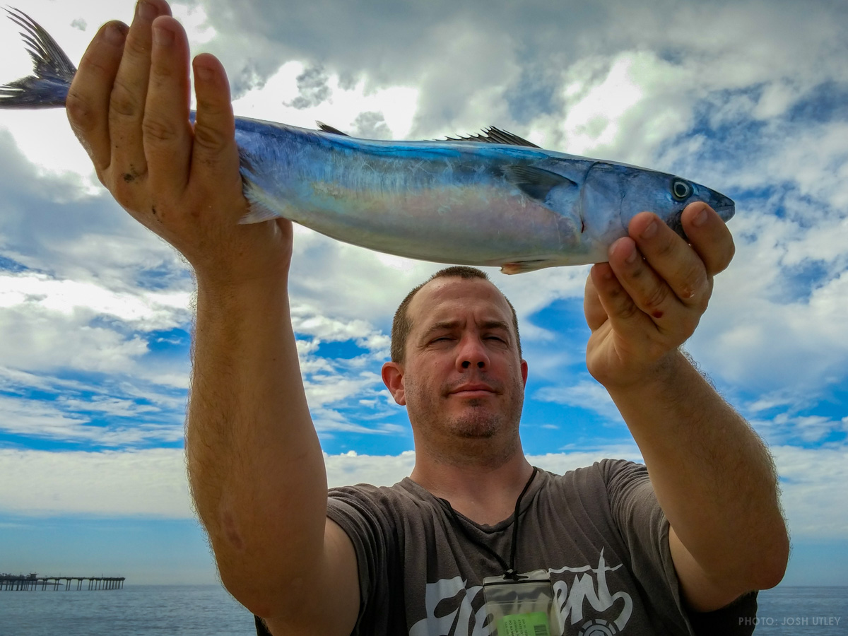 Teach a man how to fish