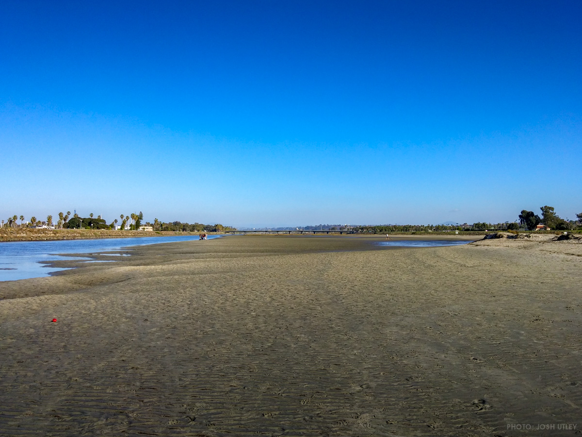 Dog beach low tide