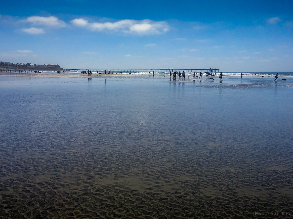 Dog Beach Low Tide