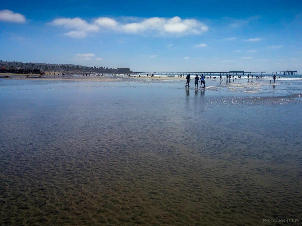 Dog Beach Low Tide