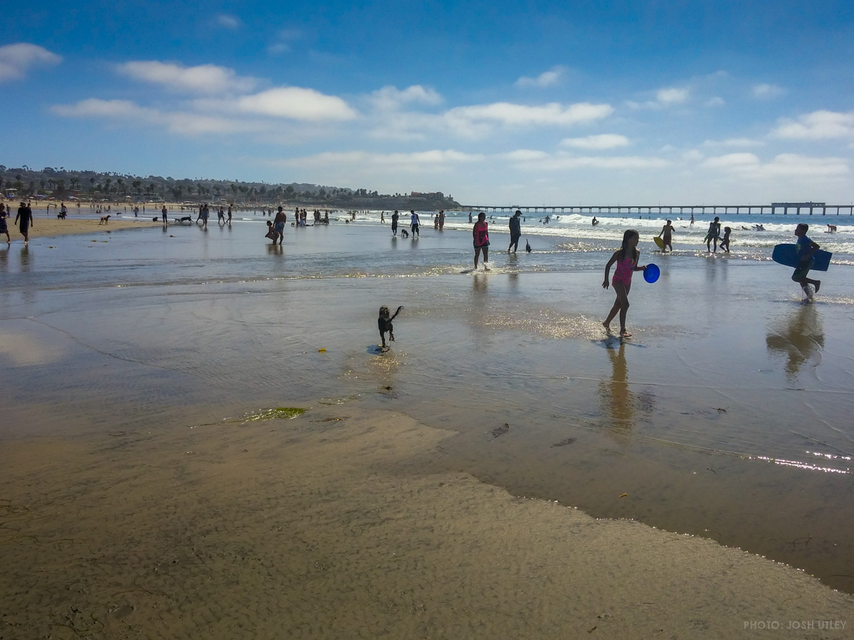 Dog Beach Low Tide