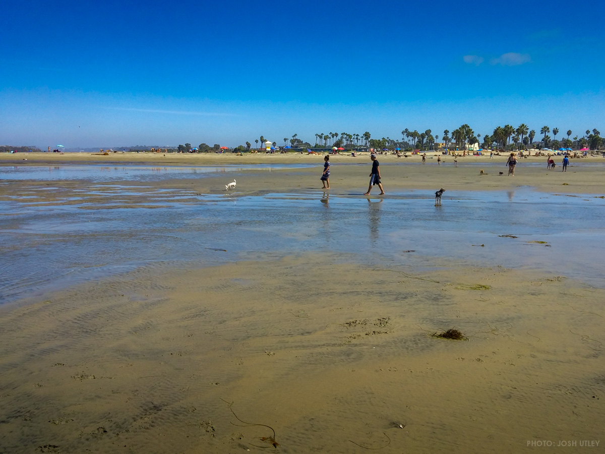 Dog Beach Low Tide