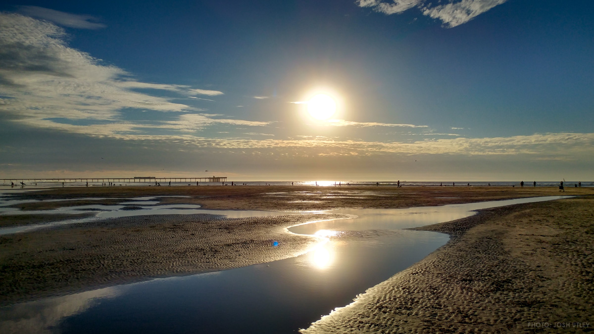 Dog Beach Tide Pools