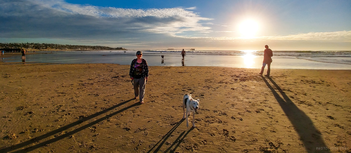 Dog Beach Low Tide