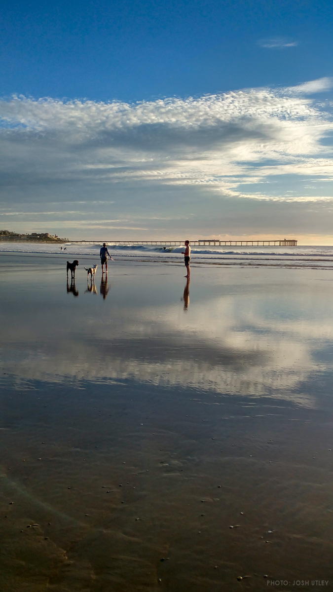 Ocean Beach Pier from Dog Beach