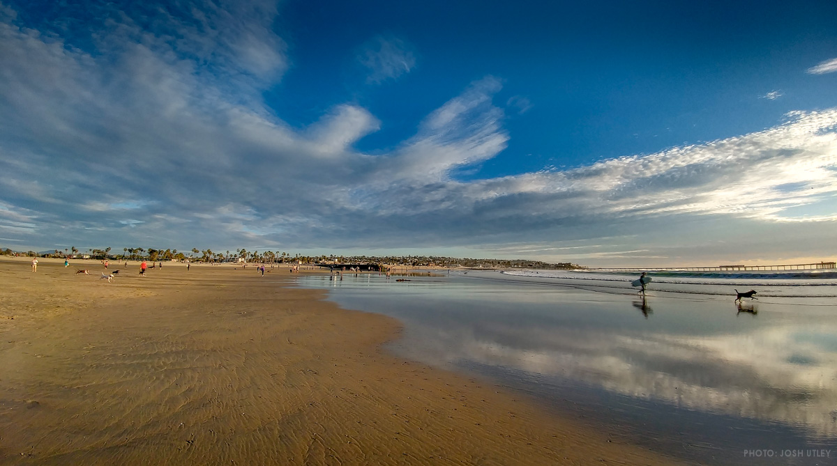 Ocean Beach Pier from Dog Beach