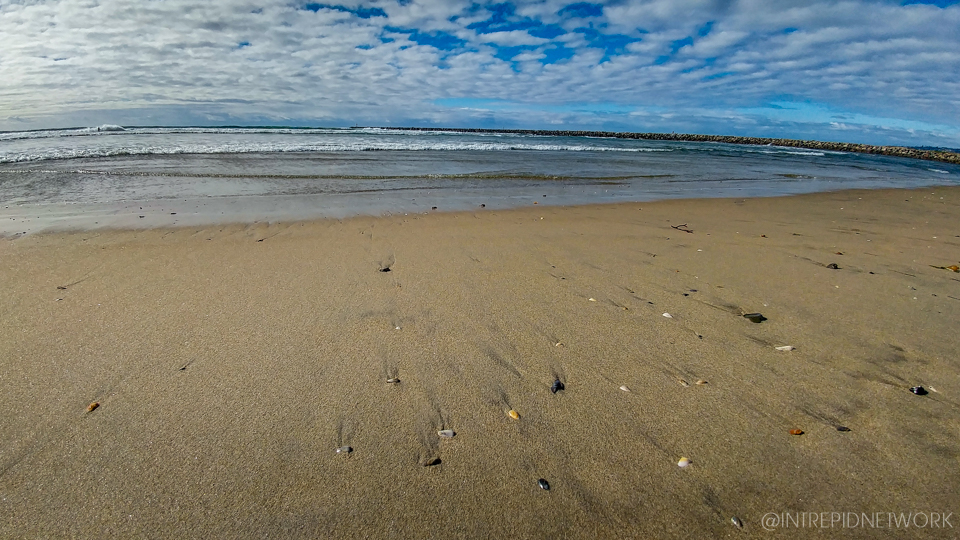 The Original Dog Beach