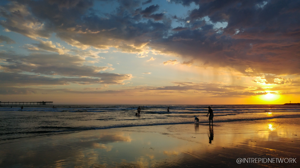 Dog Beach Sunset