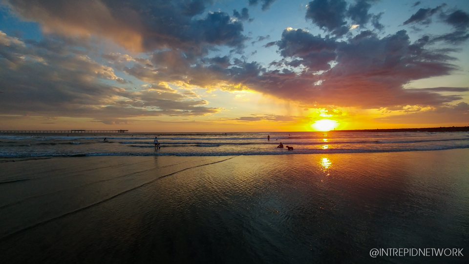 Dog Beach Sunset