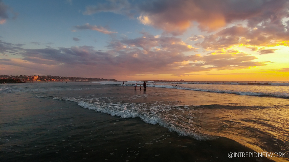 Dog Beach Sunset