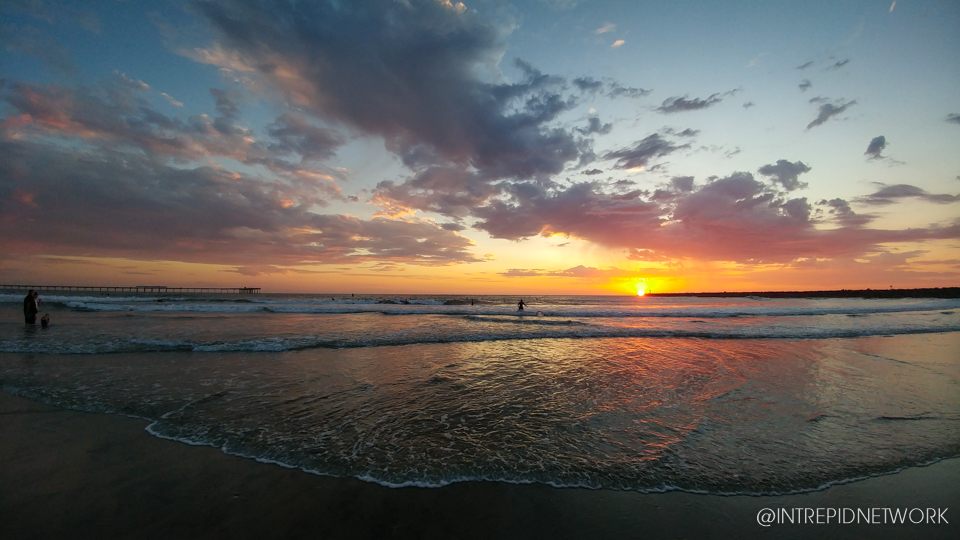 Dog Beach Sunset