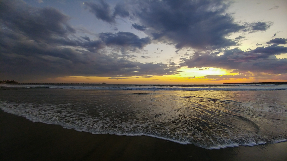Dog Beach Sunset