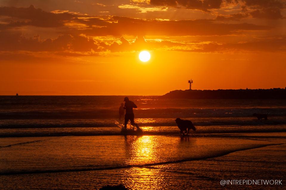Dog Beach Sunset