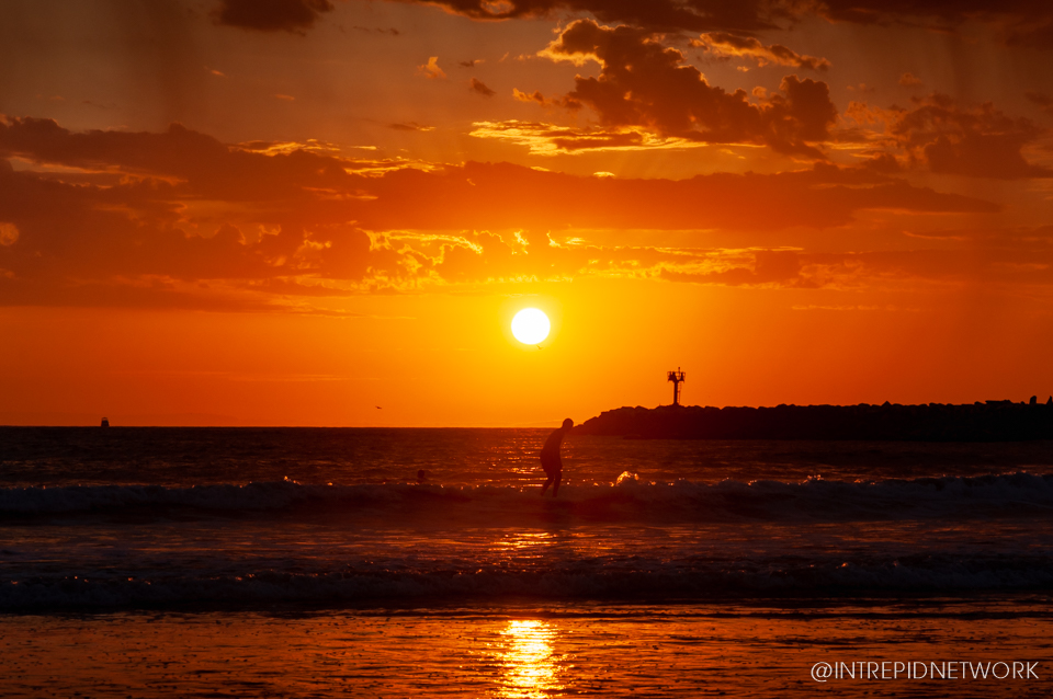 Dog Beach Sunset
