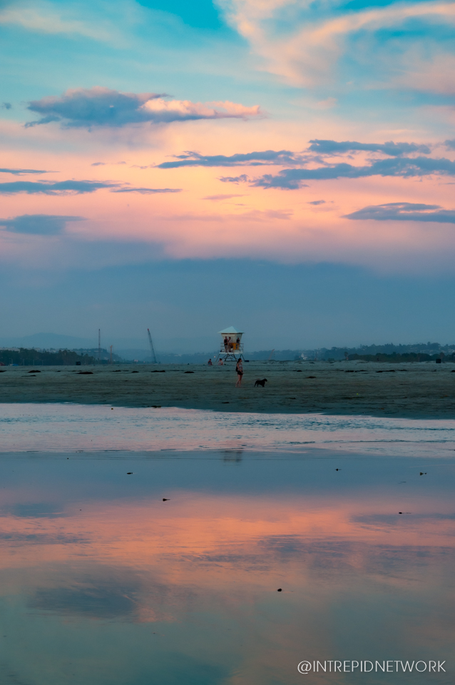 Dog Beach Sunset