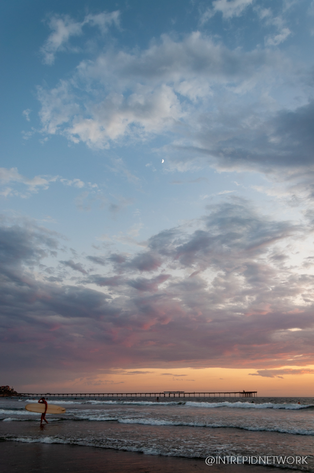Dog Beach Sunset