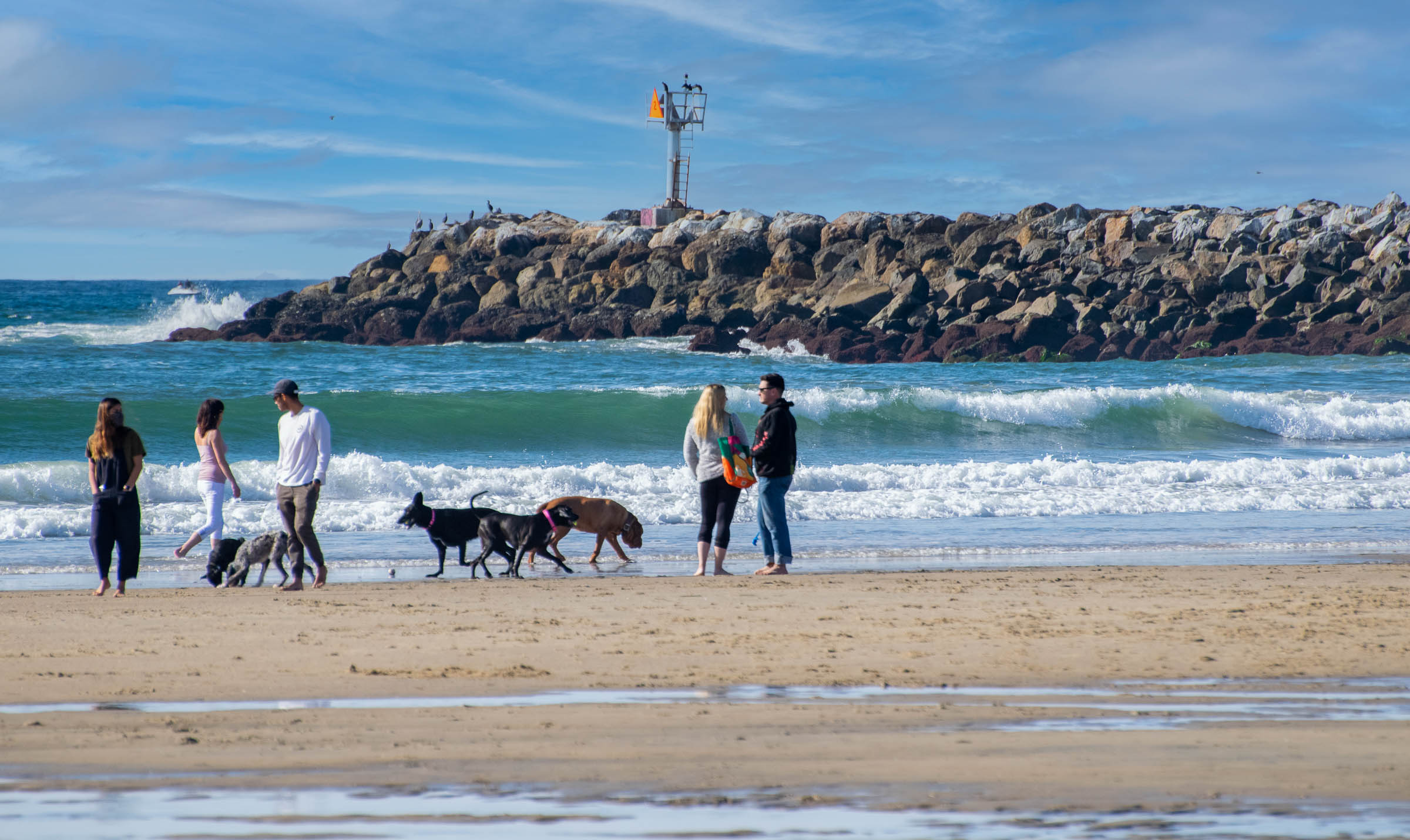 Dog Beach Holidays