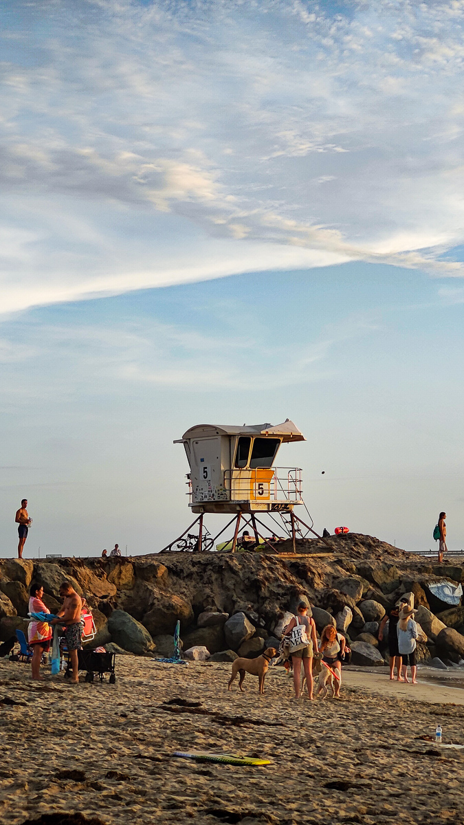 Dog Beach Summer Sunsets