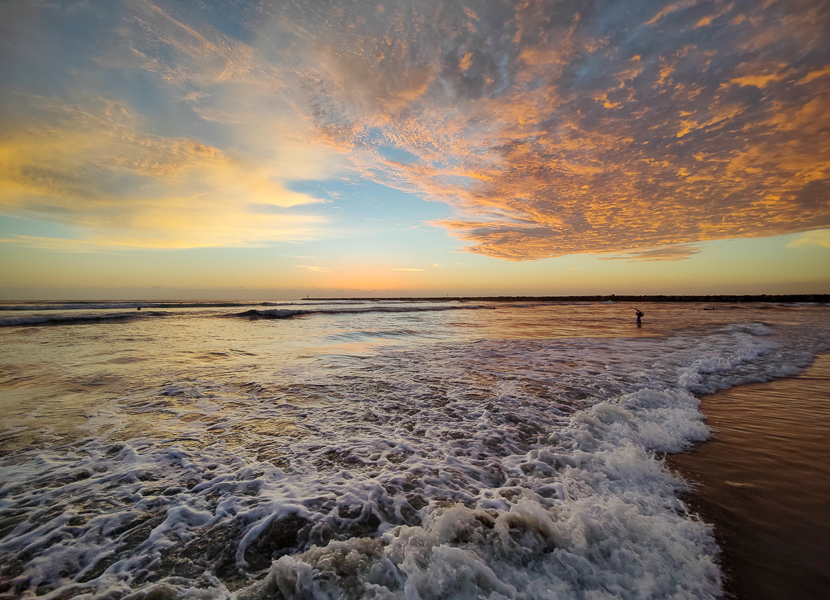 Dog Beach Summer Sunsets