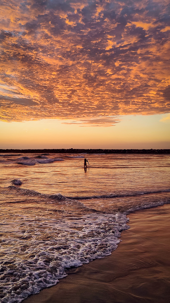 Dog Beach Summer Sunsets