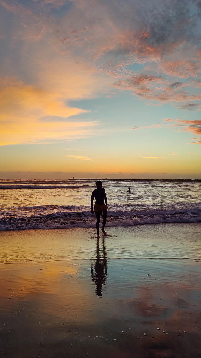 Dog Beach Summer Sunsets