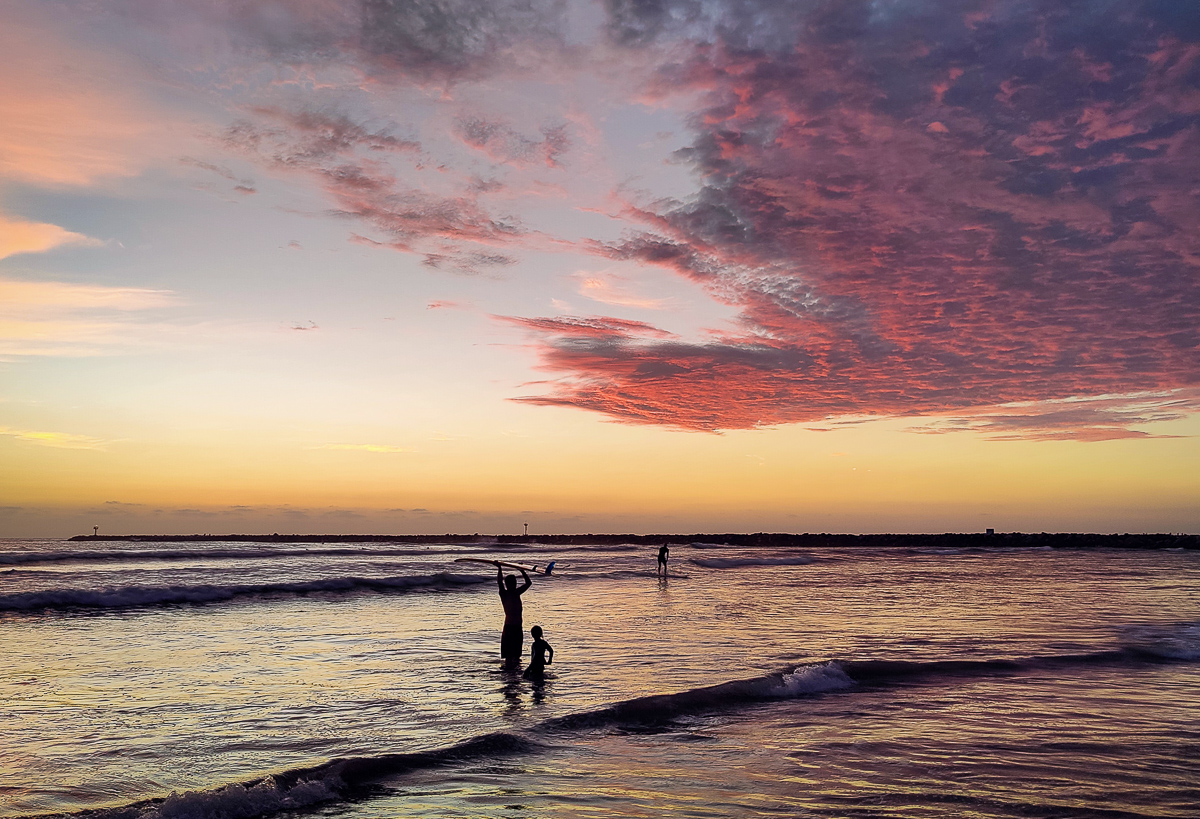 Dog Beach Summer Sunsets