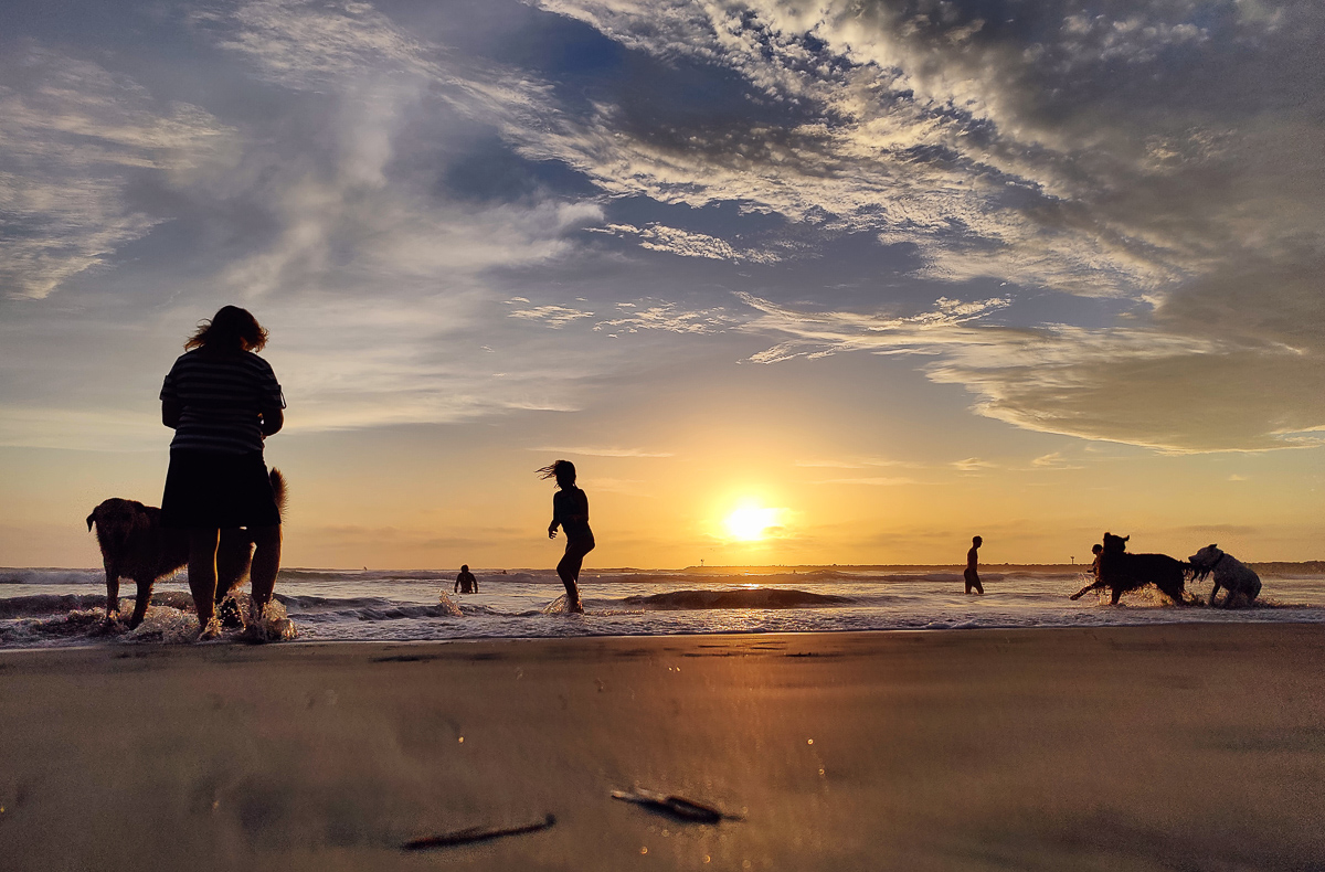 Dog Beach Summer Sunsets