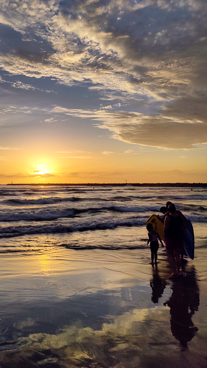 Dog Beach Summer Sunsets