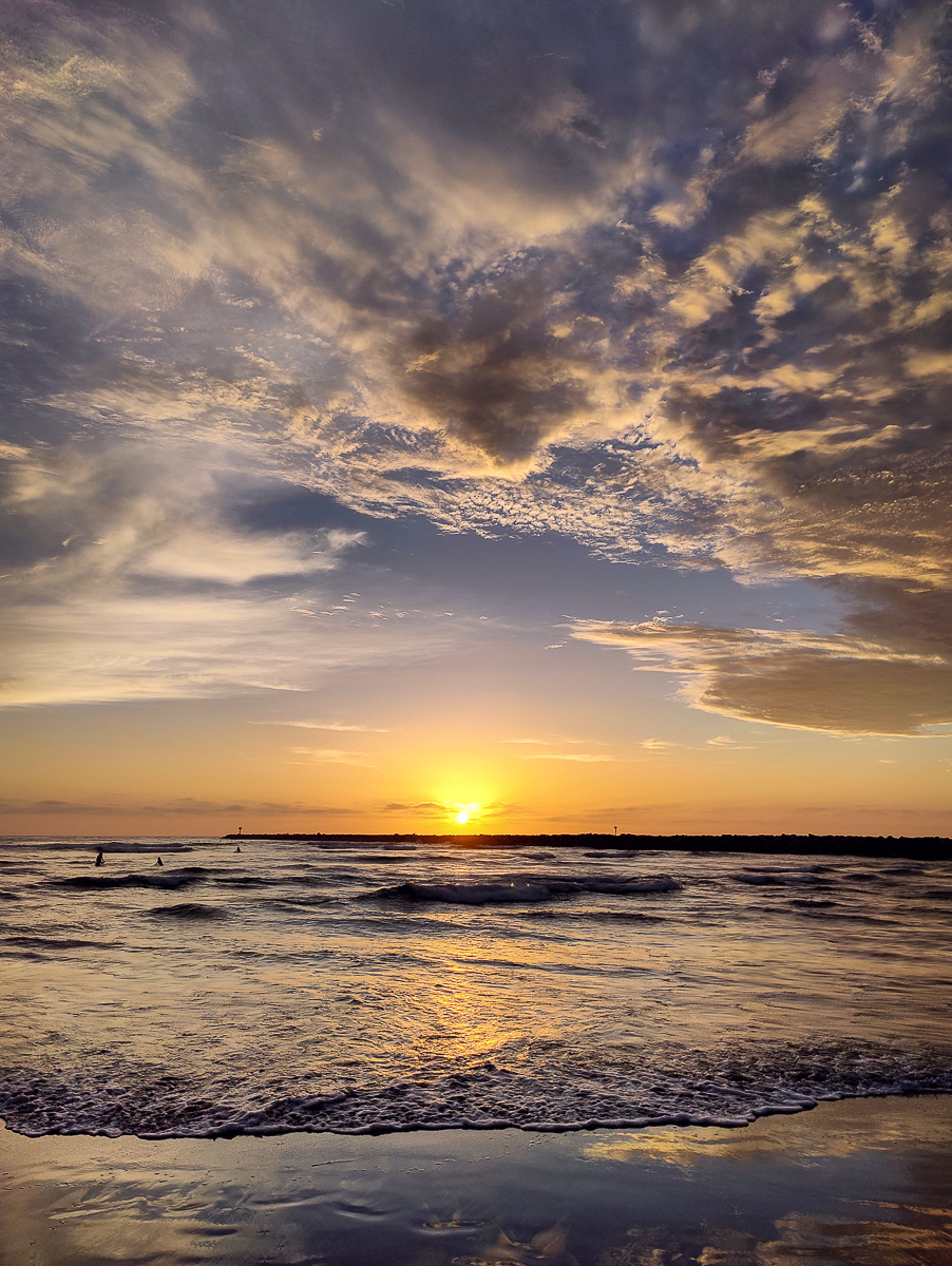 Dog Beach Summer Sunsets