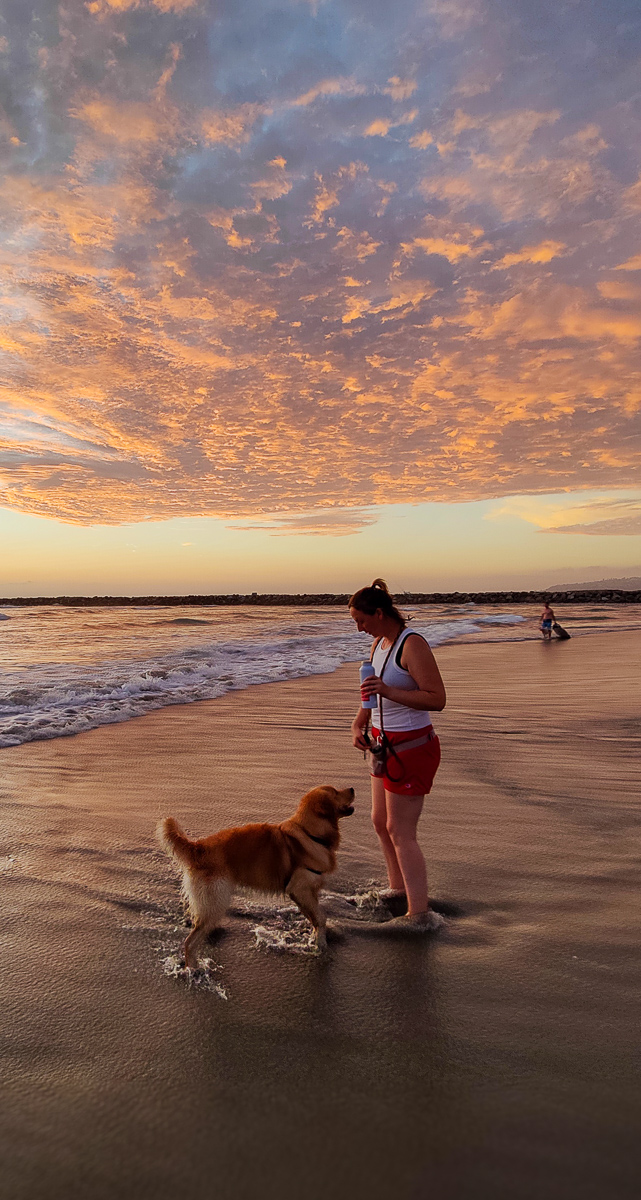 Dog Beach Summer Sunsets