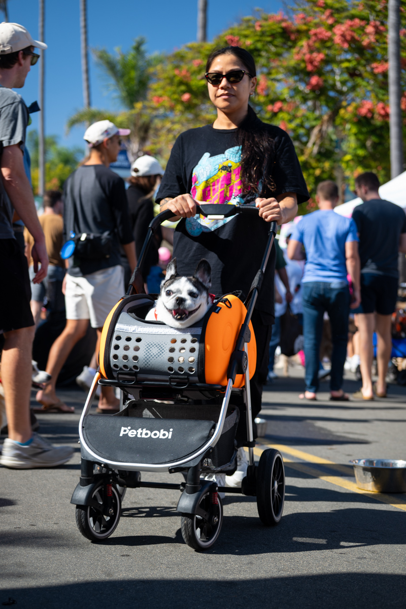Ocean Beach Day of the Dog 2025