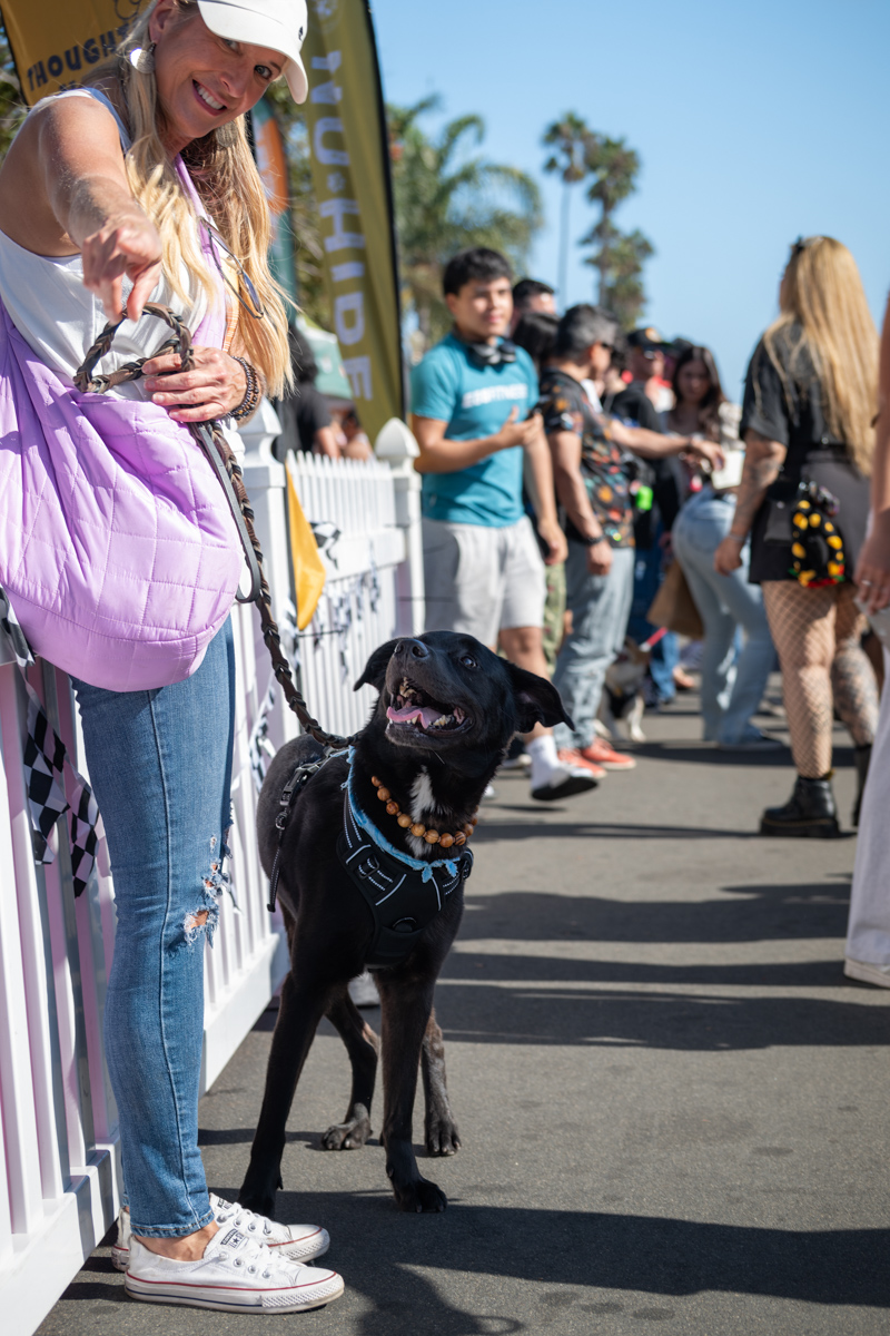 Ocean Beach Day of the Dog 2025