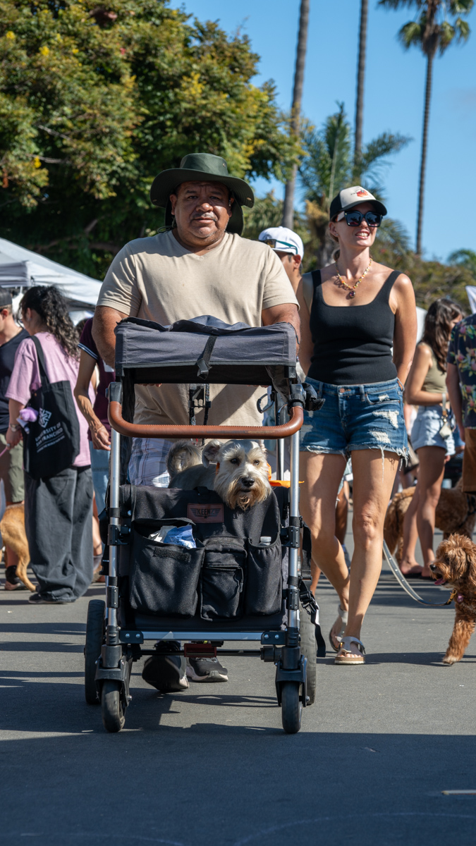 Ocean Beach Day of the Dog 2025
