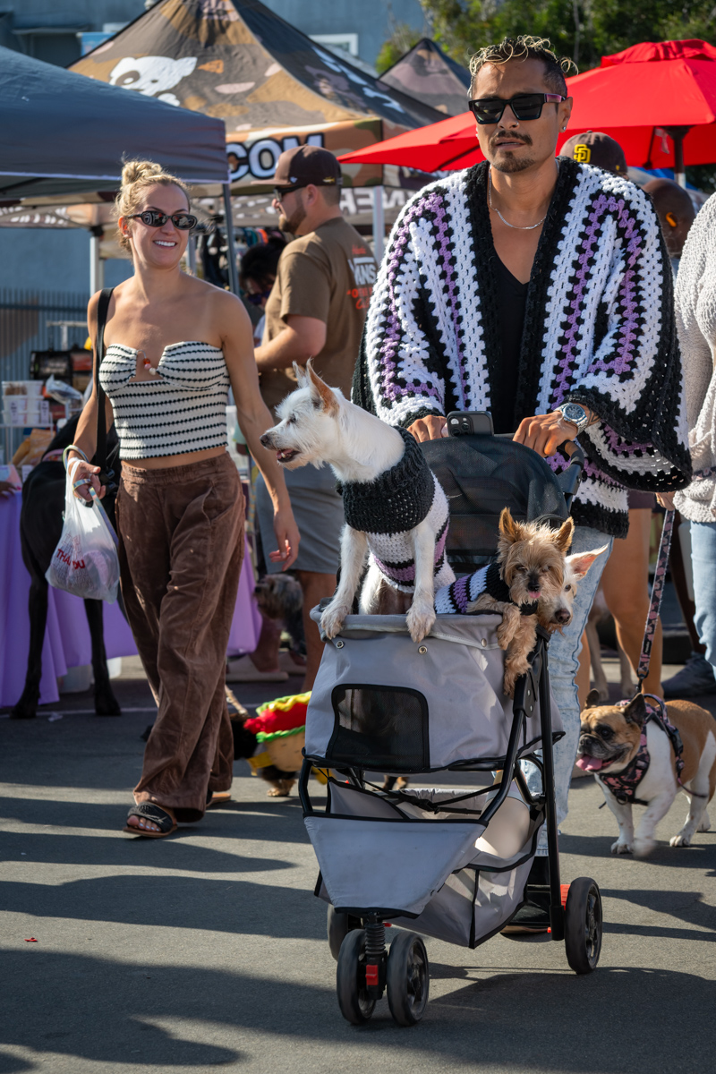 Ocean Beach Day of the Dog 2025