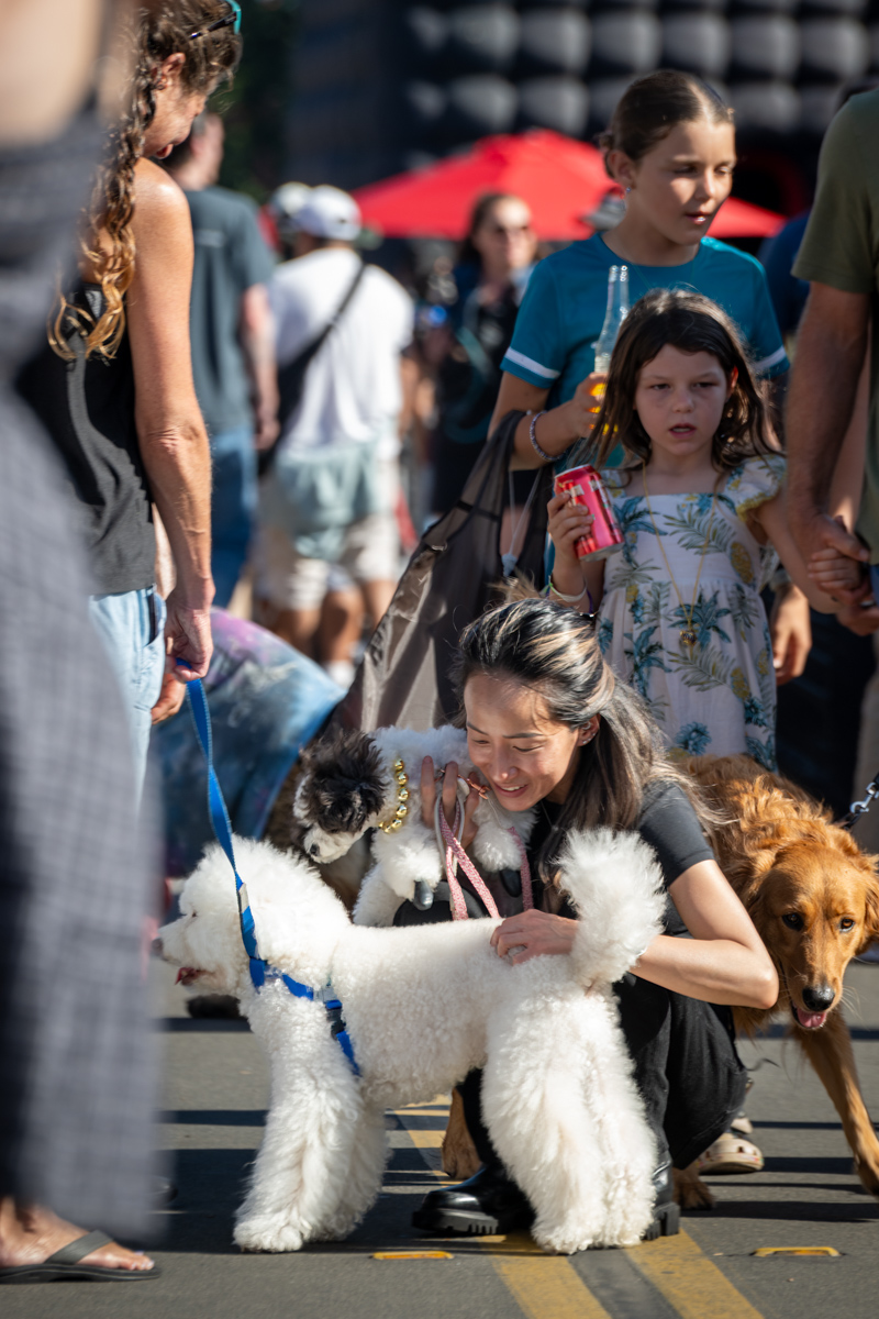 Ocean Beach Day of the Dog 2025