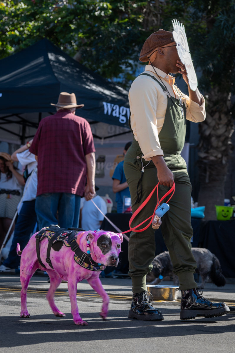 Ocean Beach Day of the Dog 2025