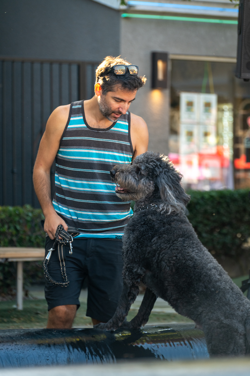 Ocean Beach Day of the Dog 2025