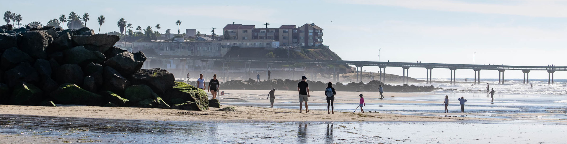 Dog Beach OB