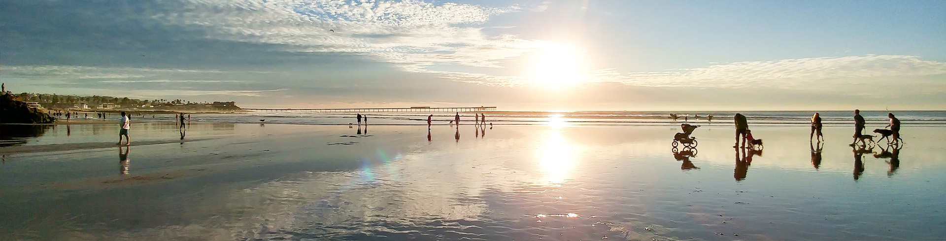 Dog Beach San Diego