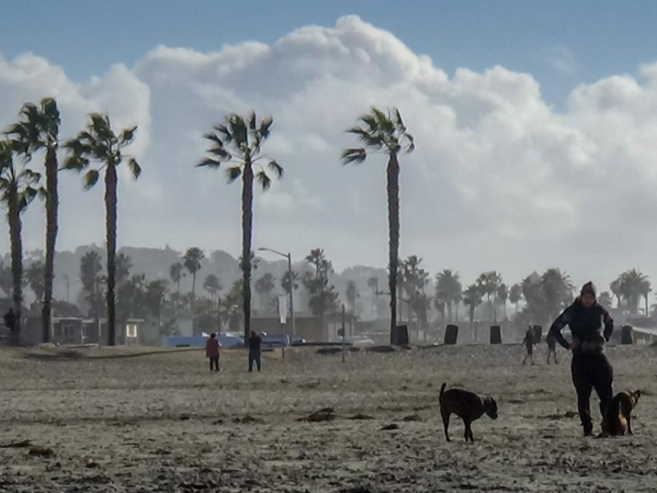 Stormy Weather at Dog Beach