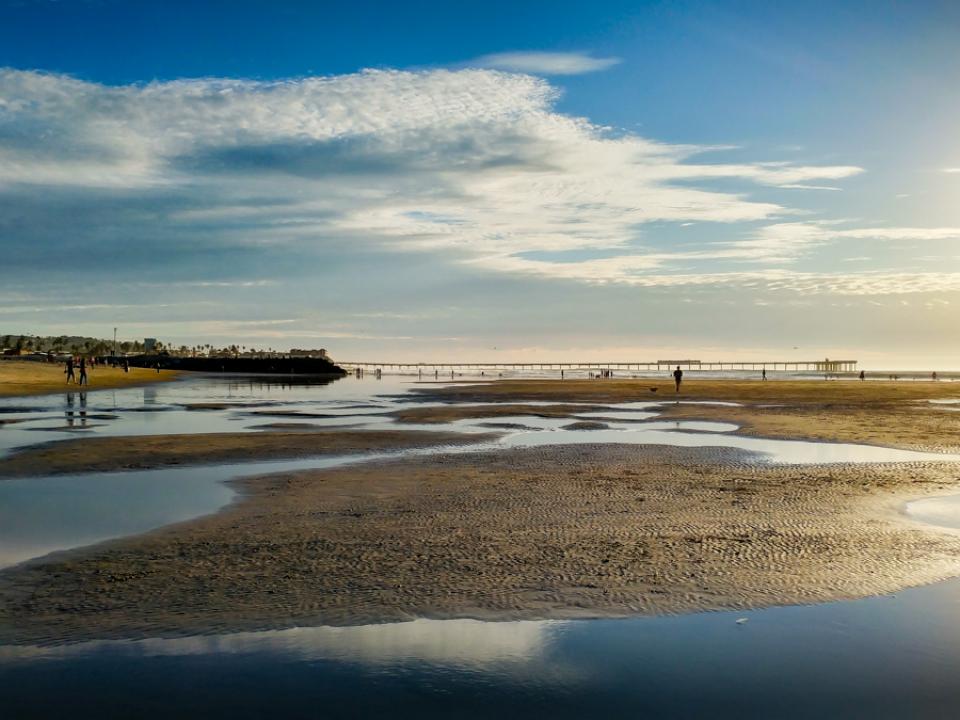 Dog Beach Tide Pools