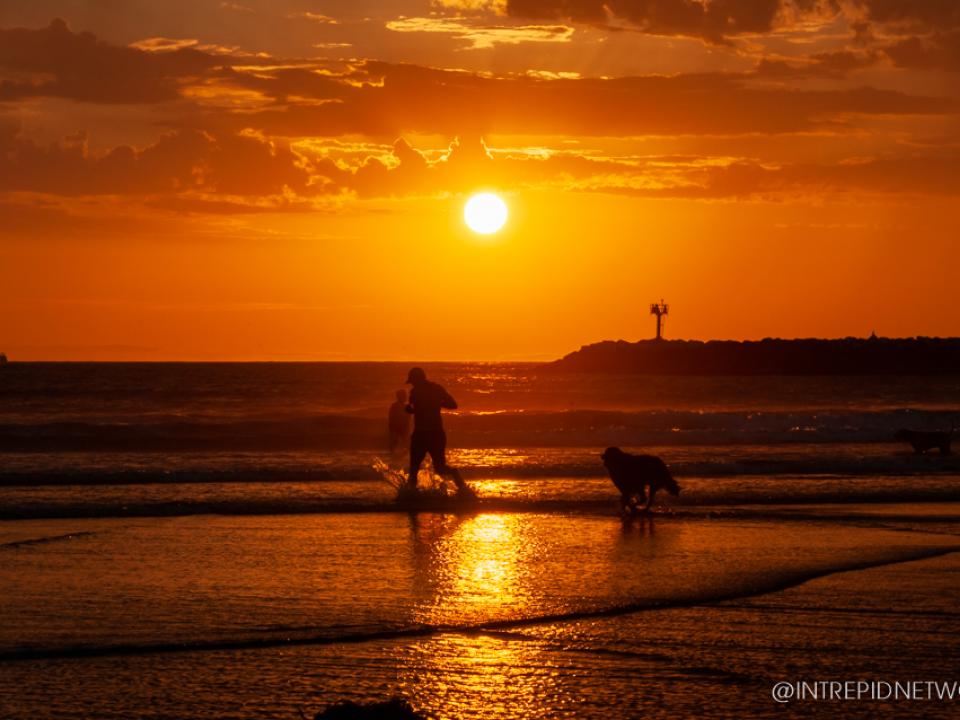 Dog Beach Sunset