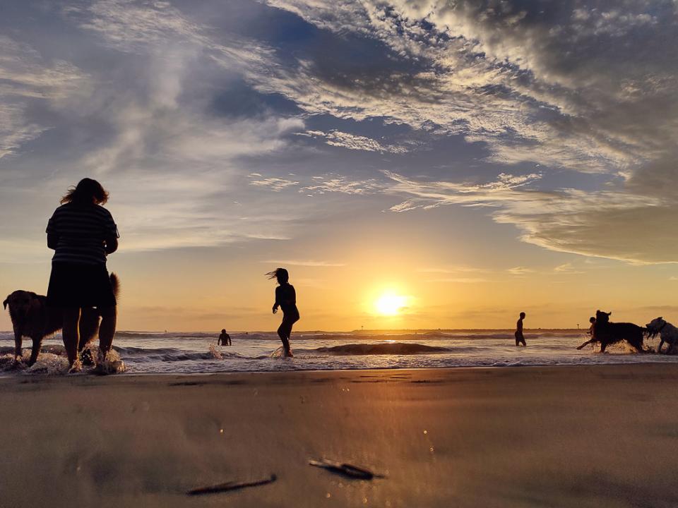 Dog Beach Summer Sunsets